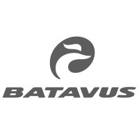 Logo marque BATAVUS