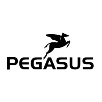 Logo marque PEGASUS 